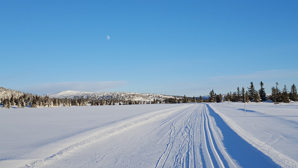 Fra løypa mot Kriksfjell