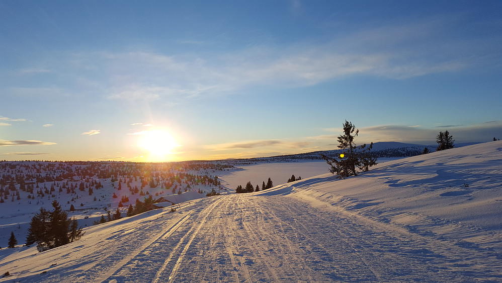 På Reinakrysset