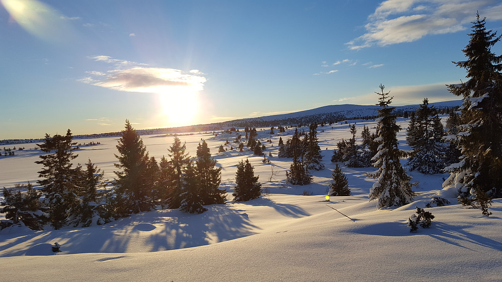 Fra Kriksvika mot Nevelfjell