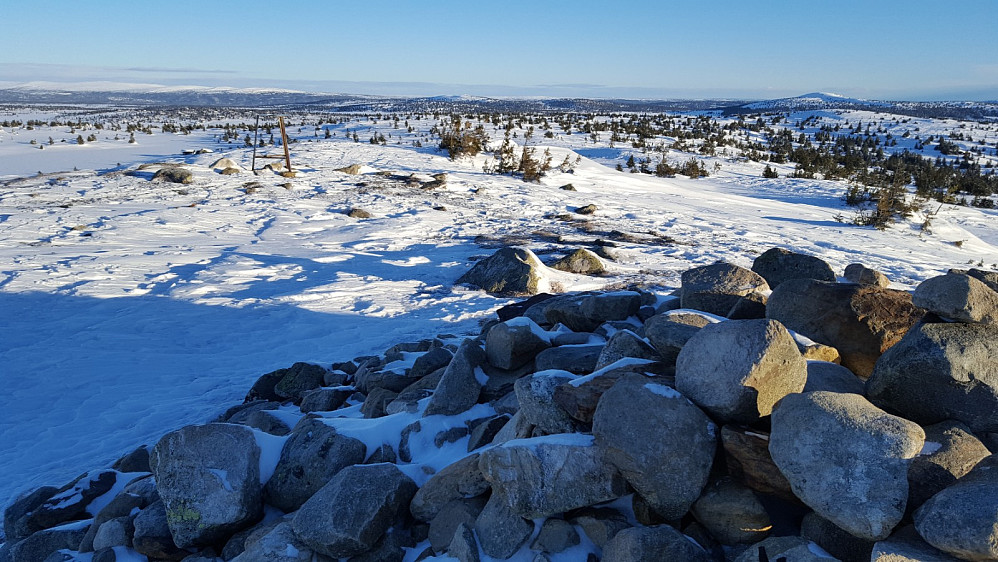 På Sjusjøfjellet øst
