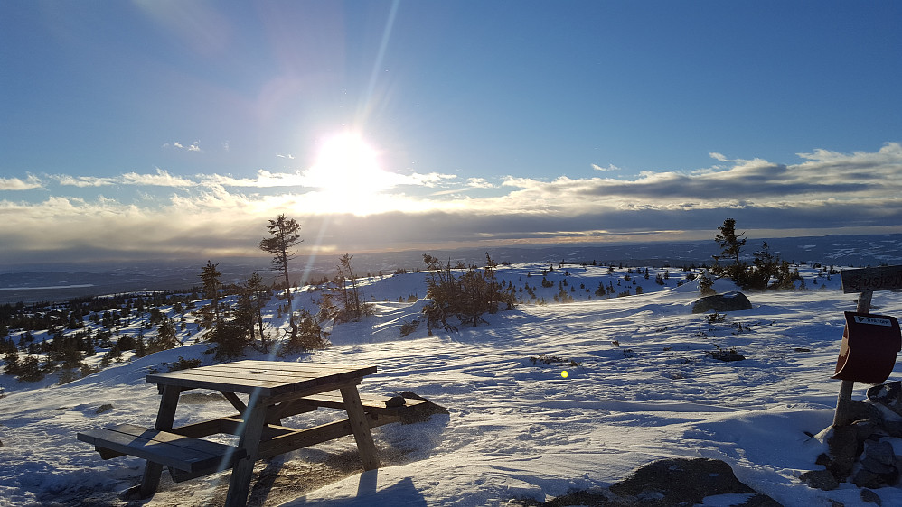 På Sjusjøfjellet