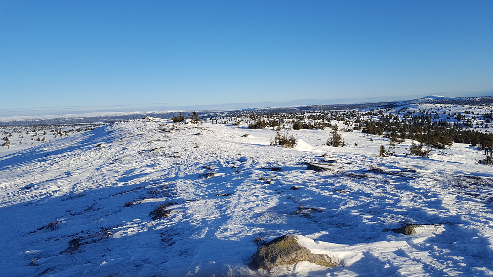 På Sjusjøfjellet, mot østtoppen