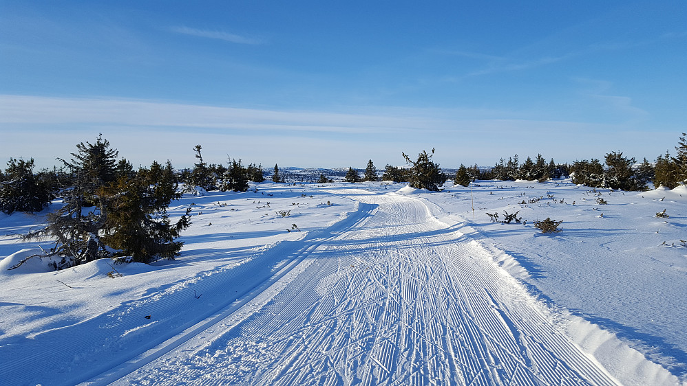 PÅ Midtfjellet