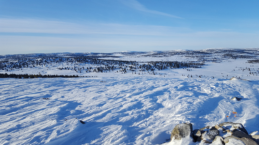 På Steinvikfjellet
