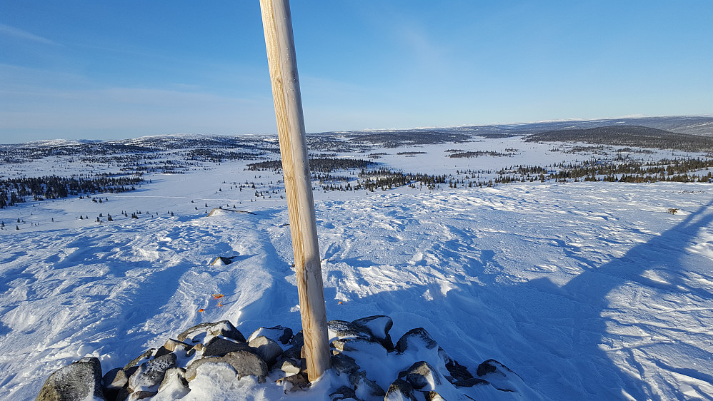 På Steinvikfjellet