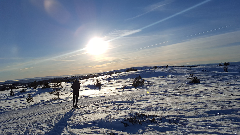 På Steinvikfjellet
