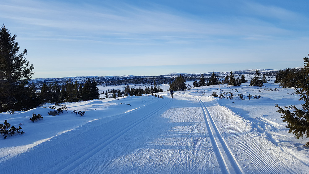 På Gjestebodåsen
