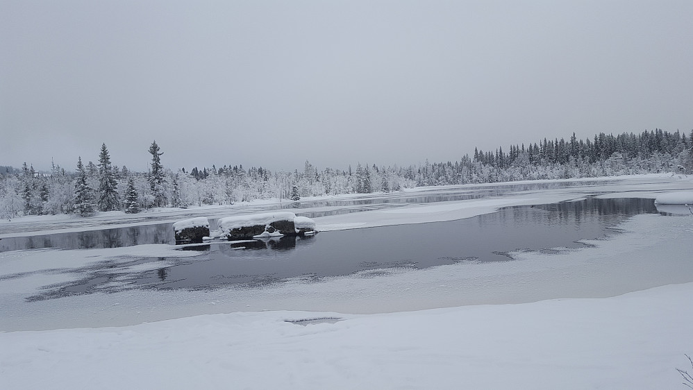 Ved Mesnaelva, Bottilflø