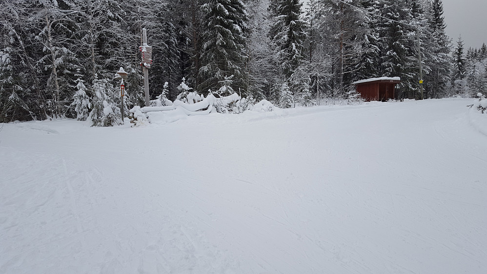 Ved Hammerkoia