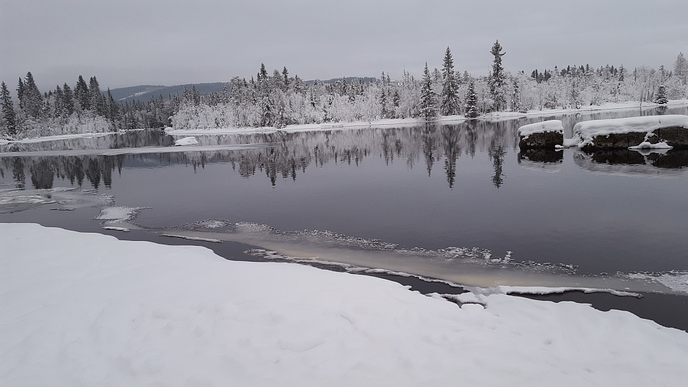 Mesnaelva, Bottilflø