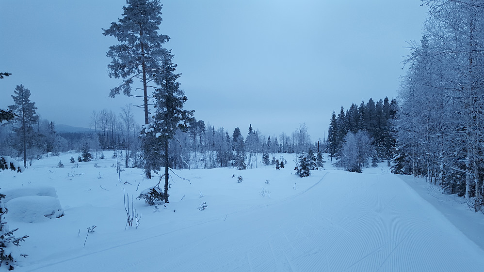 Oppover mot Kanthaugen