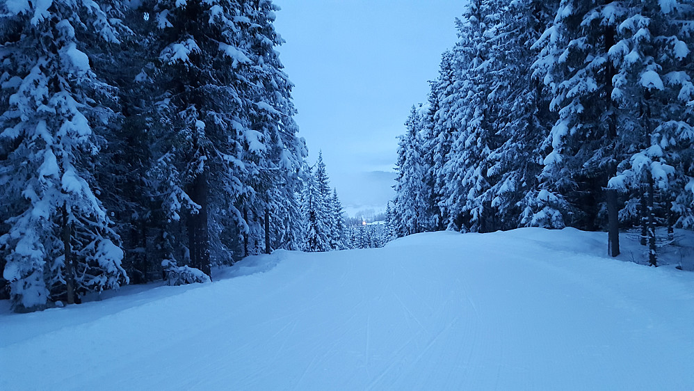 På Kanthaugen