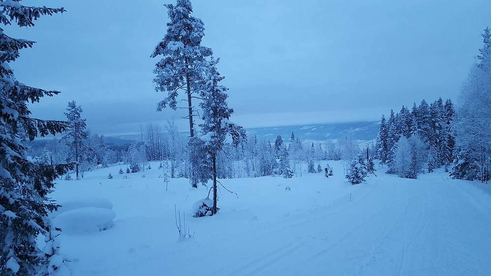 Opp mot Kanthaugen