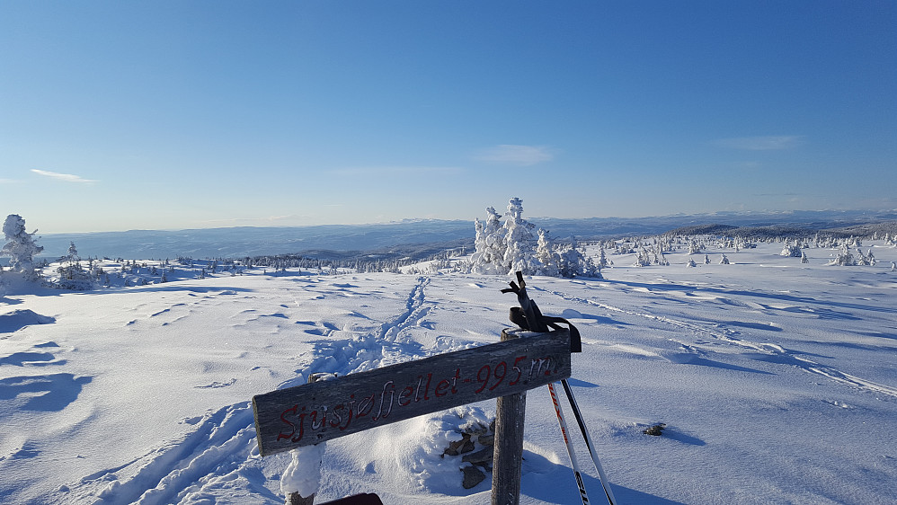 På Sjusjøfjellet