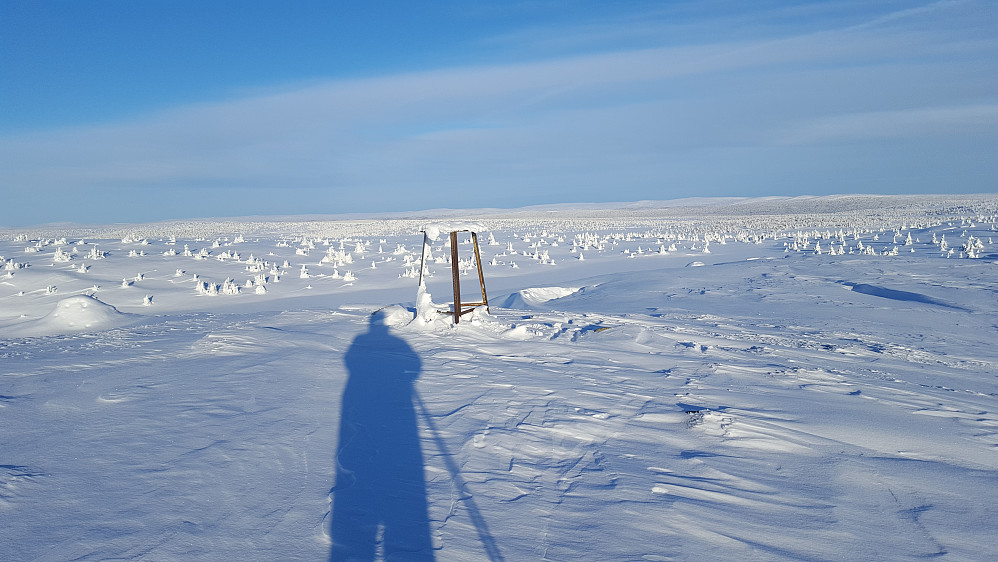 På Sjusjøfjellet øst