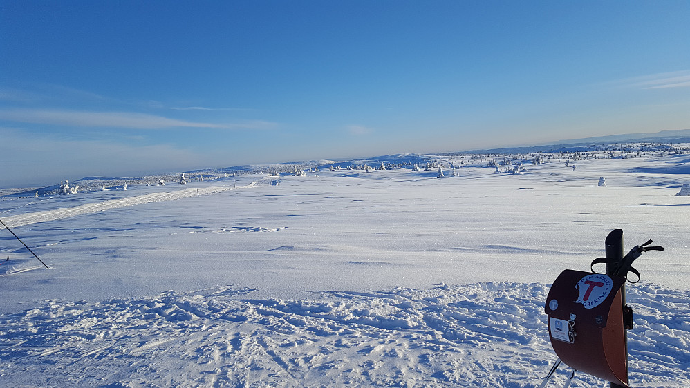 På Lunkefjell
