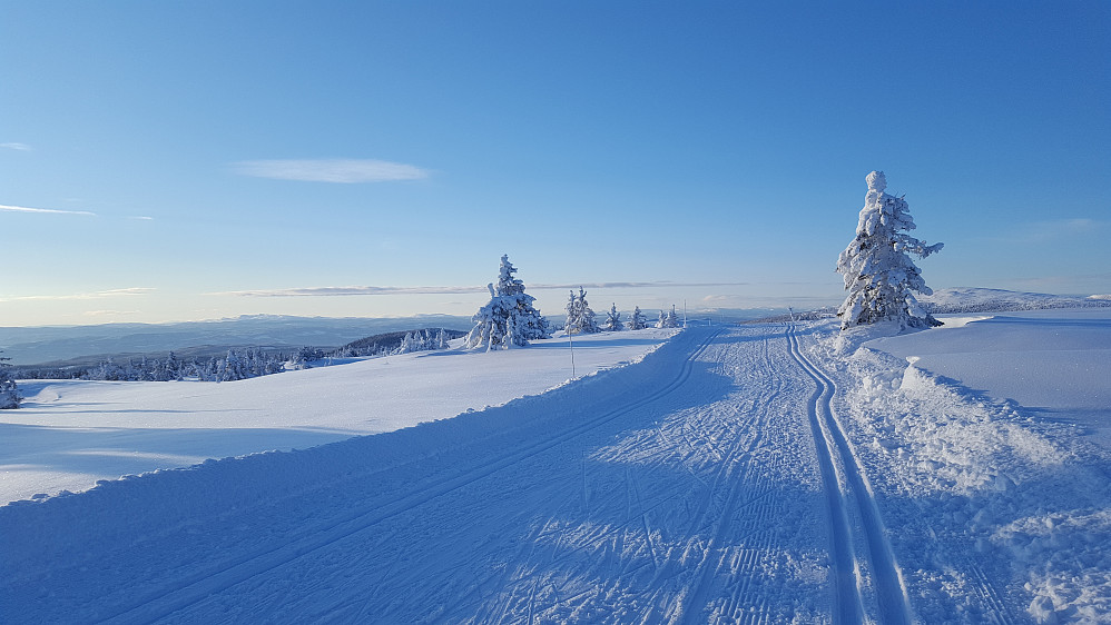 På vei ned fra Lunkefjell