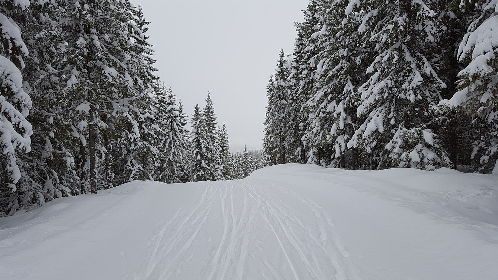 På Kanthaugen