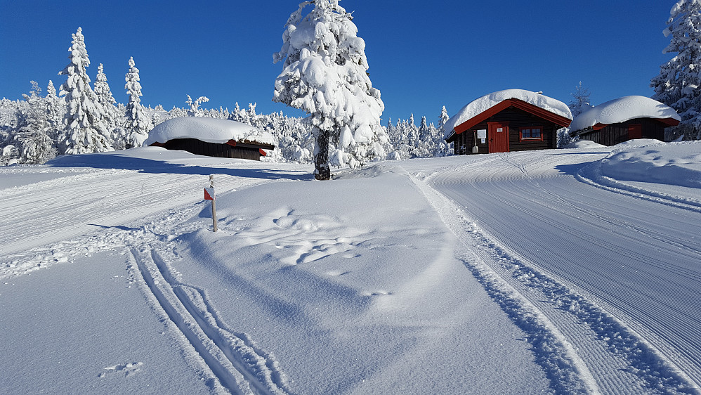 Ved Midtfjellkoia