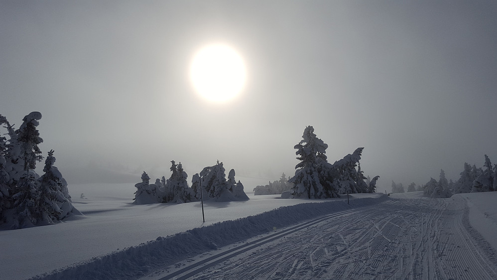 Mellom Snørvillen og Mostefjell, det kom tåke