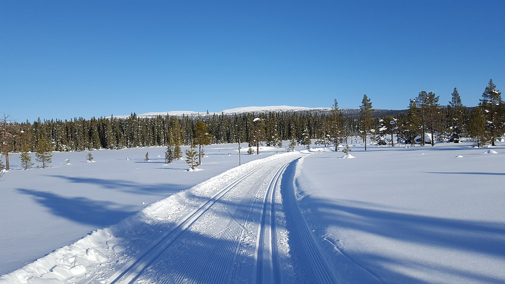 I Gropmarka, ser mot Nevelfjell