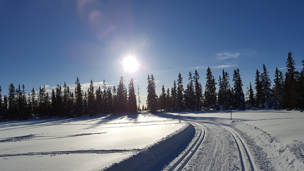 Fra løypa nedover igjen til Skurvbrua