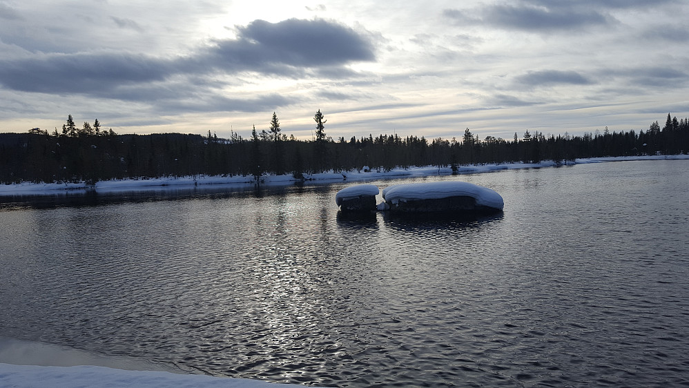 Mesnaelva, Bottilflø