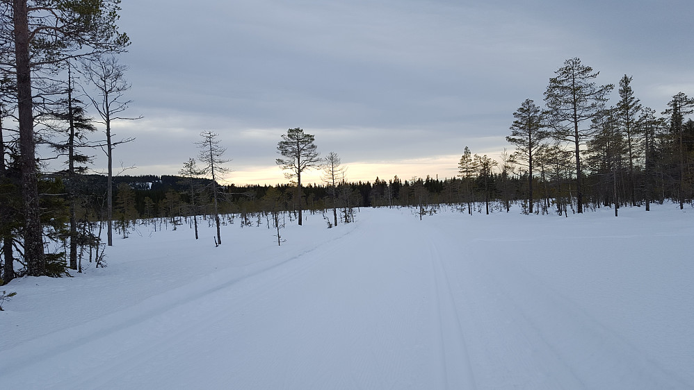 Ingalåmi