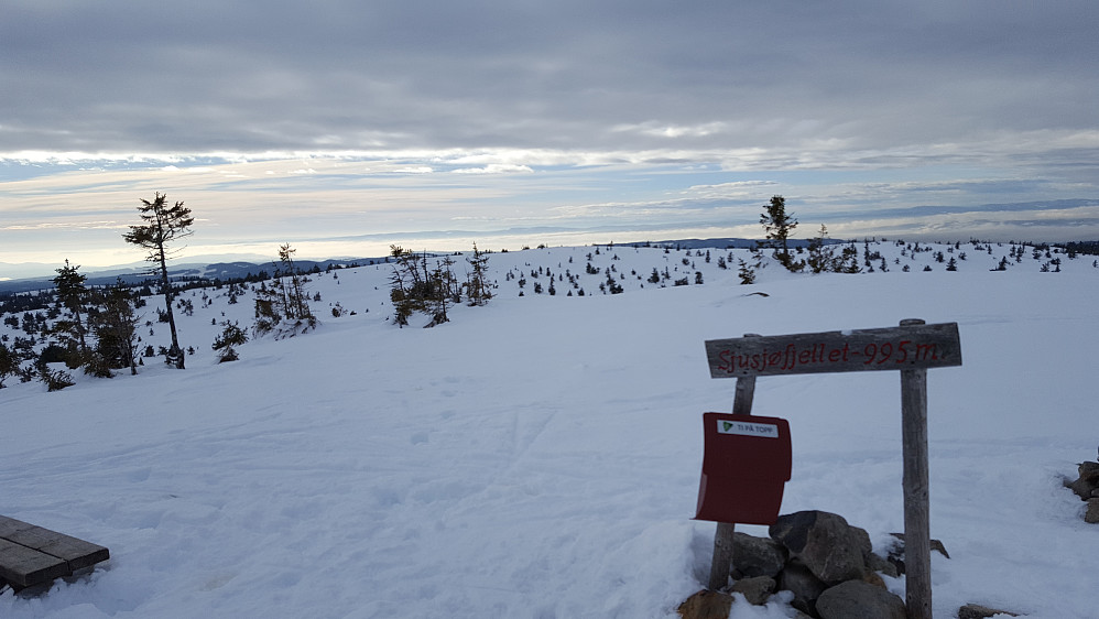 På Sjusjøfjellet