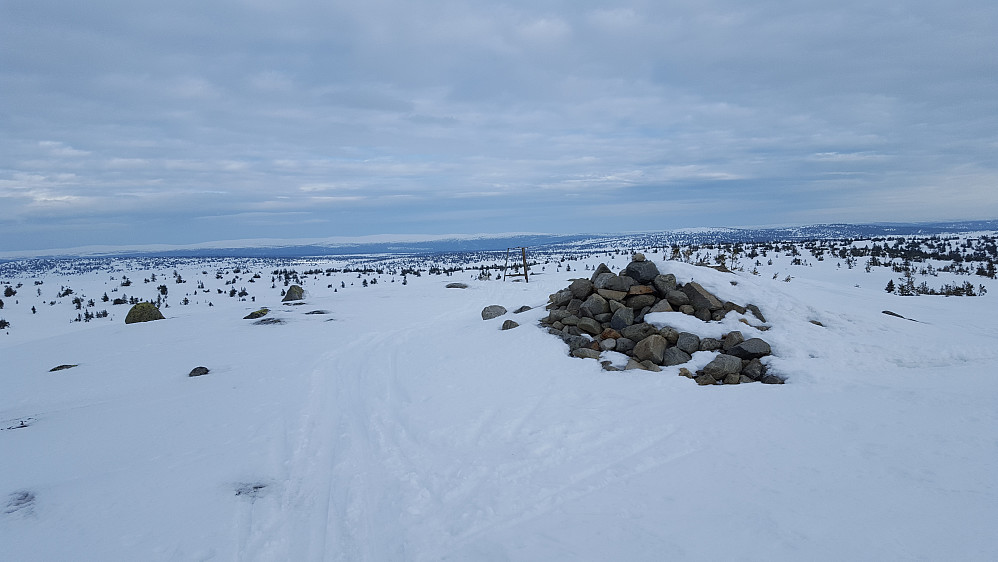 På Sjusjøfjellet øst