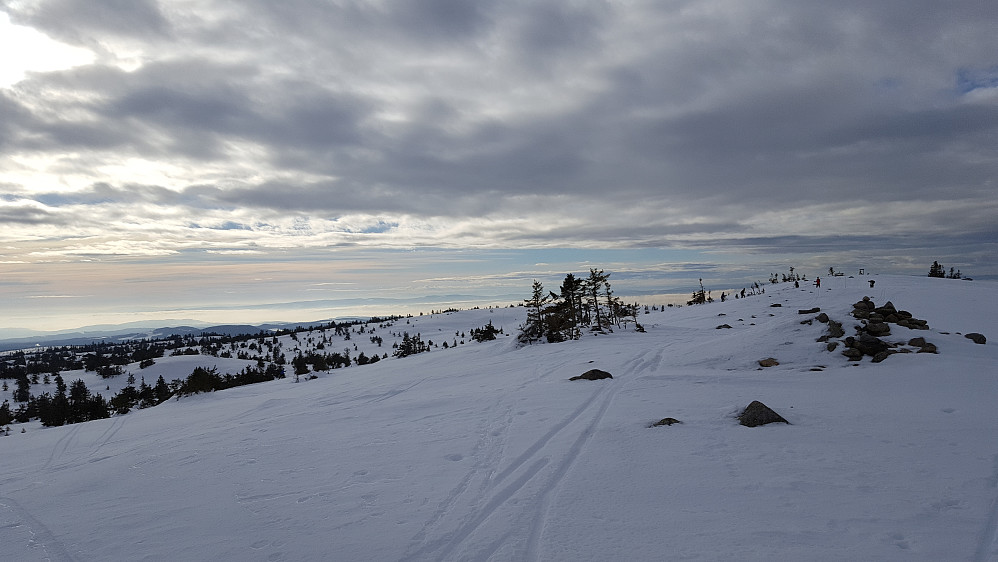 På Sjusjøfjellet øst