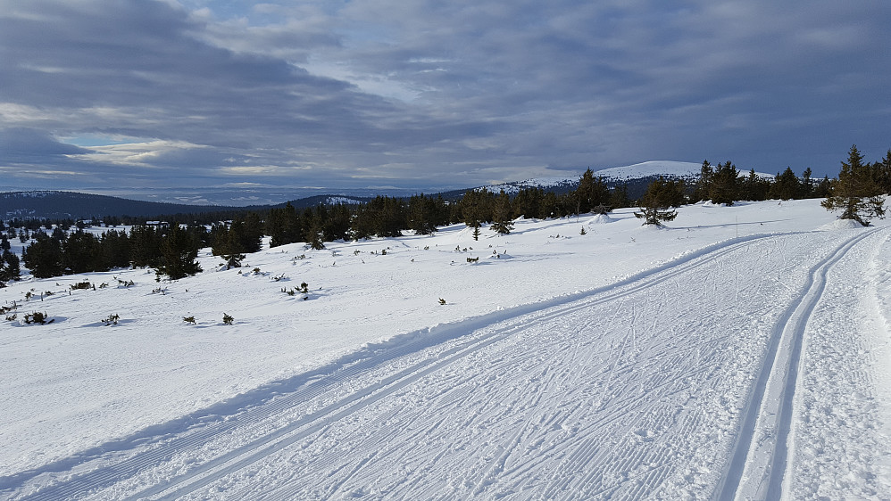 På vei ned fra Lunkefjell