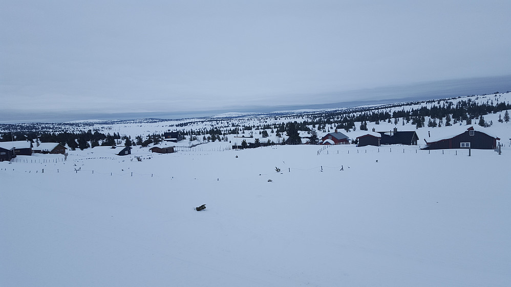 Grått ved Nysetra