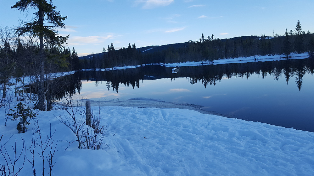 Mesnaelva, Bottilflø