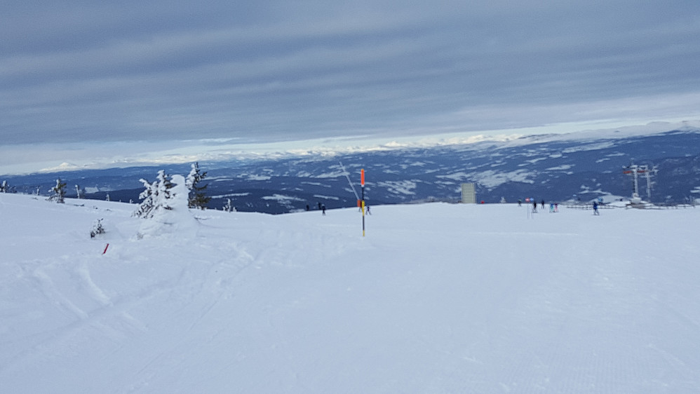 I alpinanlegget