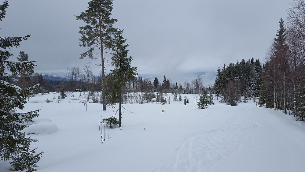Oppover mot Kanthaugen