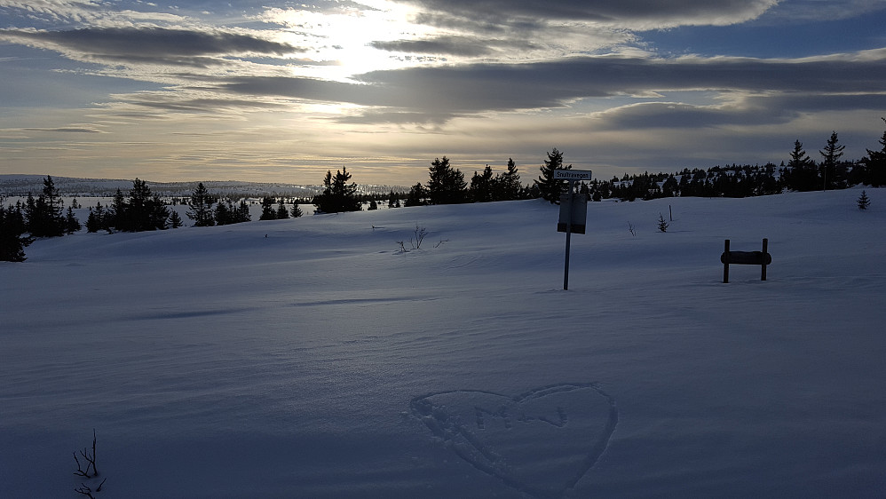 På krysset der vegen tar av til Snultra