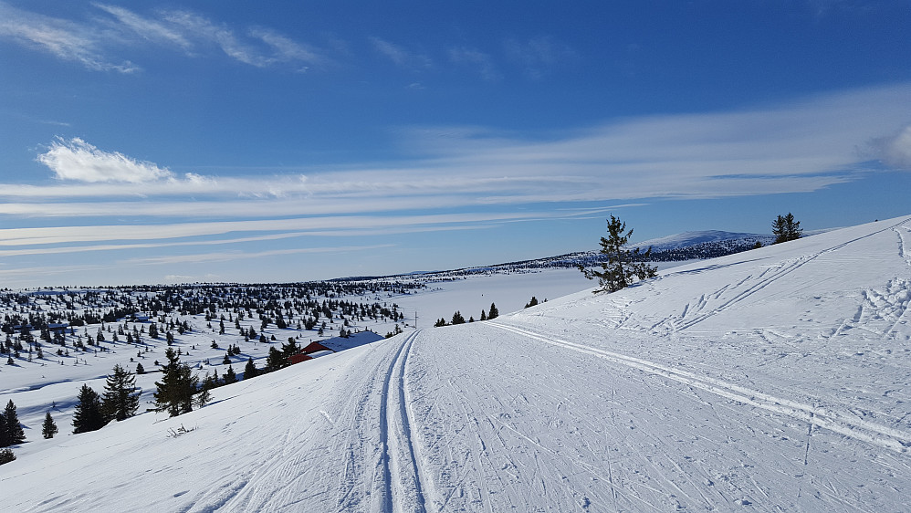 På Reinakrysset