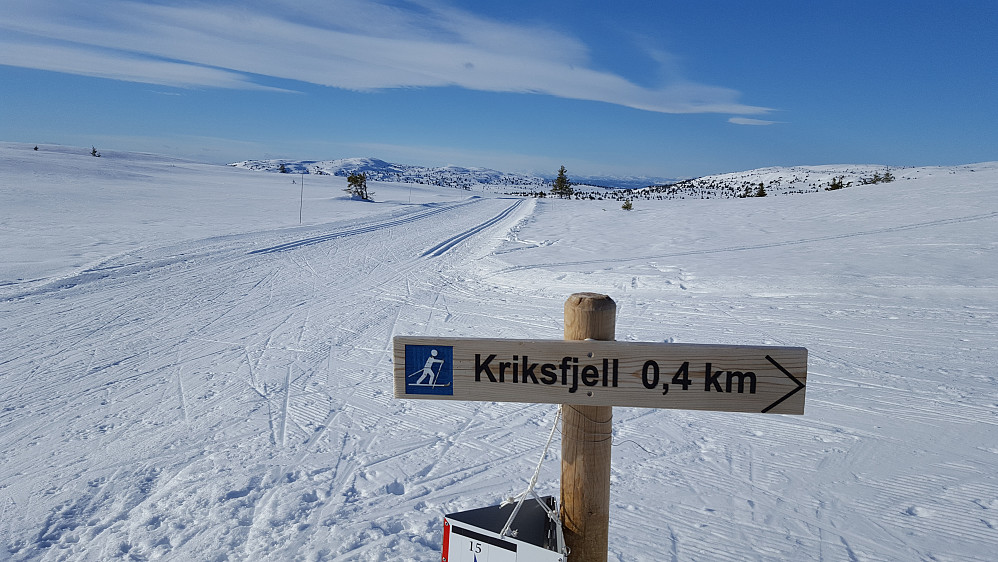 På krysset der en går opp til Kriksfjell
