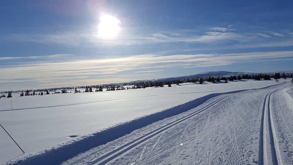 Mellom Pellevegen og Trolløypa