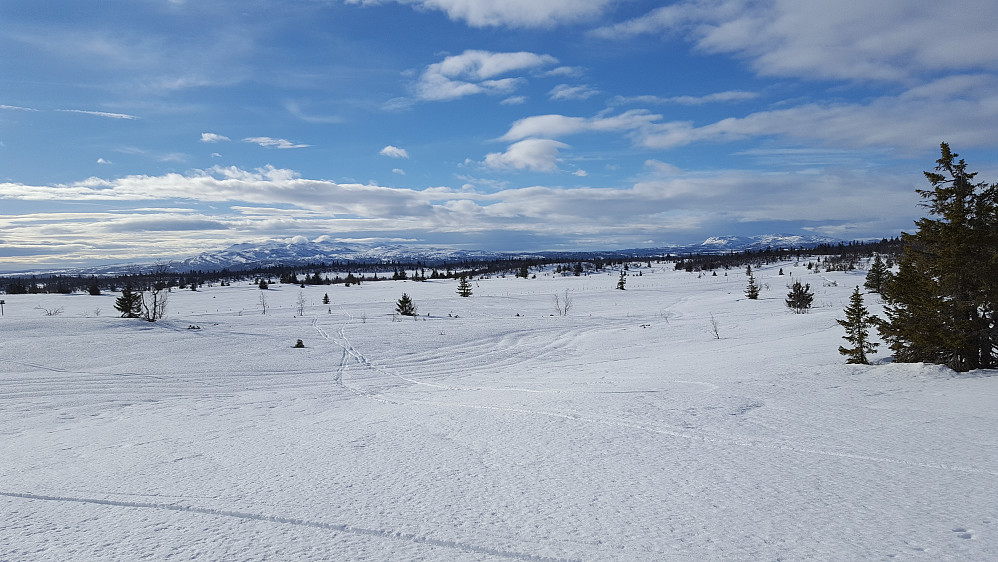  På veg opp på Hærfjellet