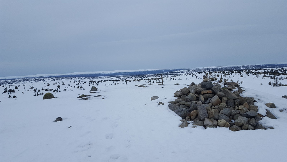 På Sjusjøfjellet øst