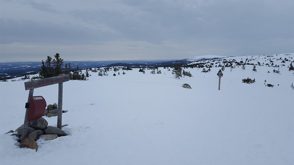På Sjusjøfjellet