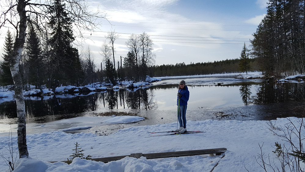 Mesnaelva, Birkebeinerløypa