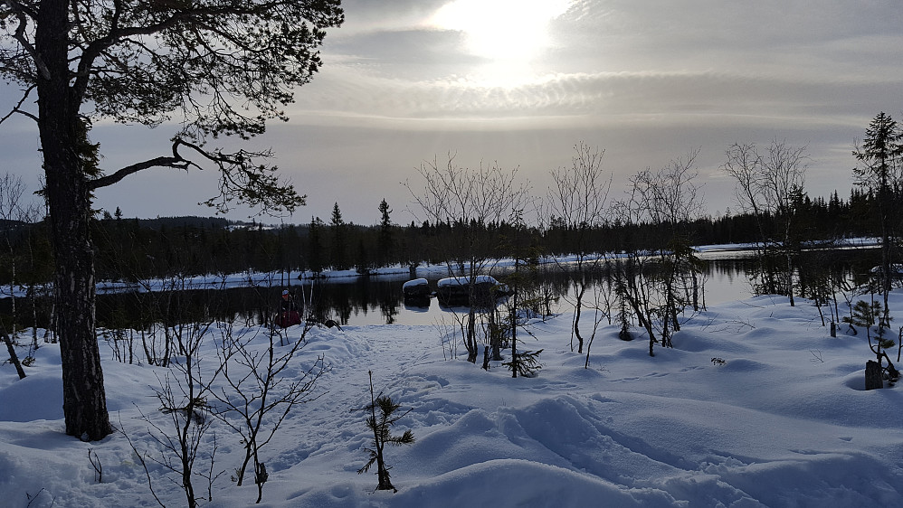 Mesnaelva, Bottilflø