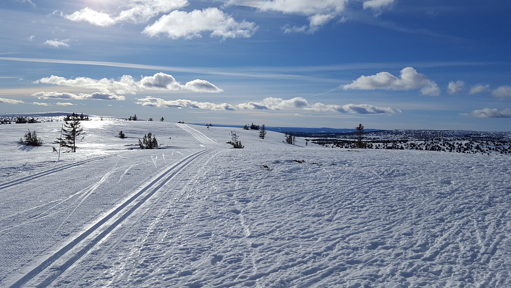 På Steinvikfjellet