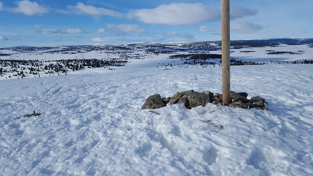 På Steinvikfjellet