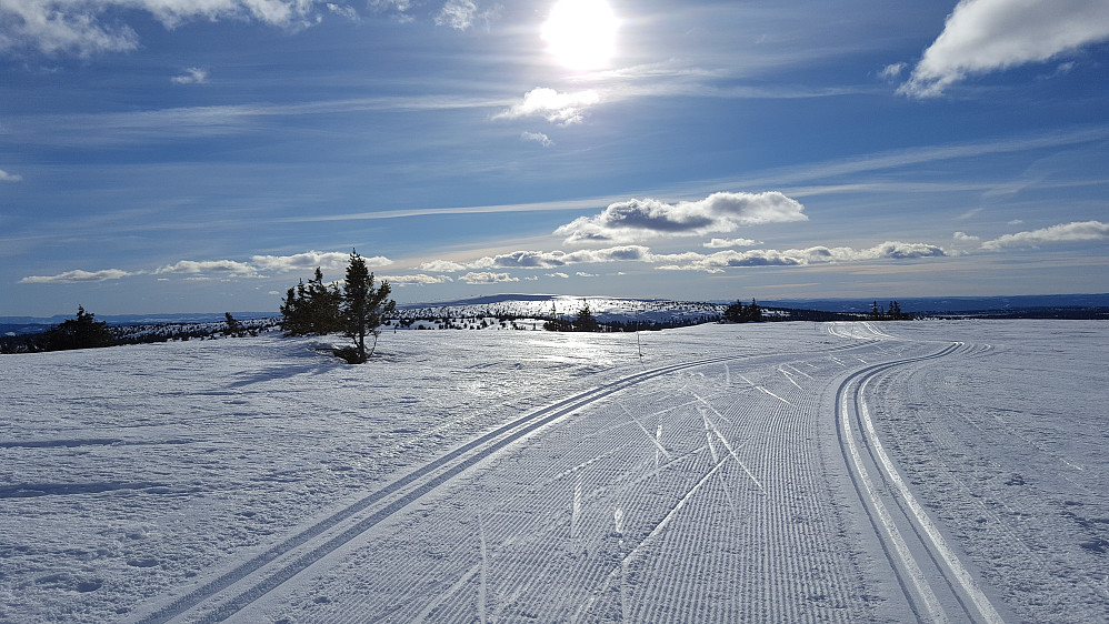 Ned fra Steinvikfjellet