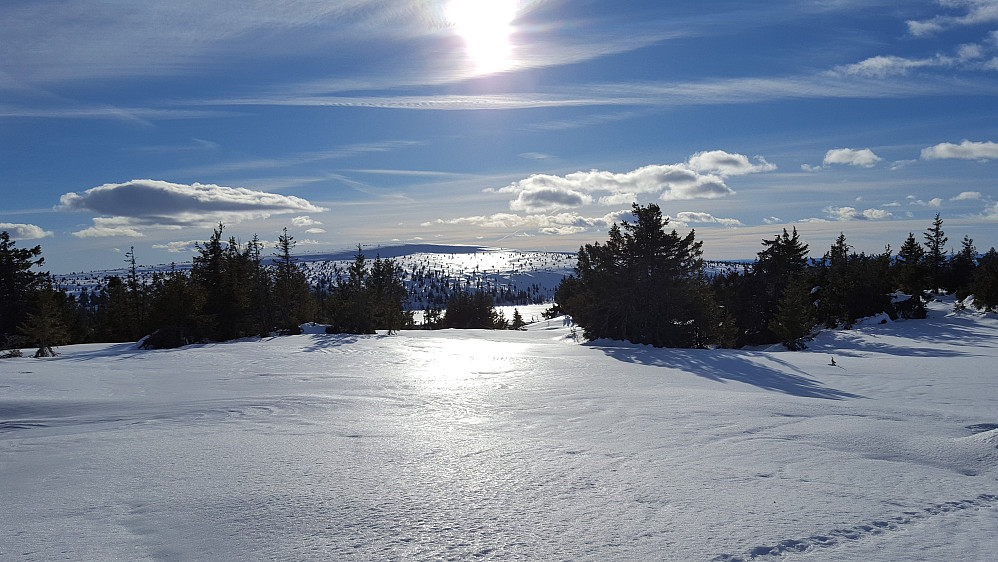 På Midtfjellet