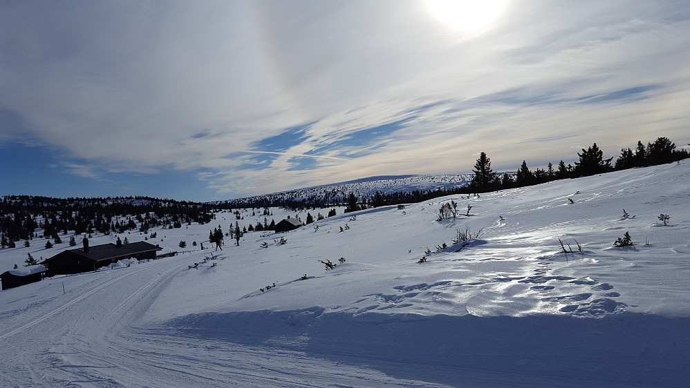 Ved setrene på Gjestebodåsen